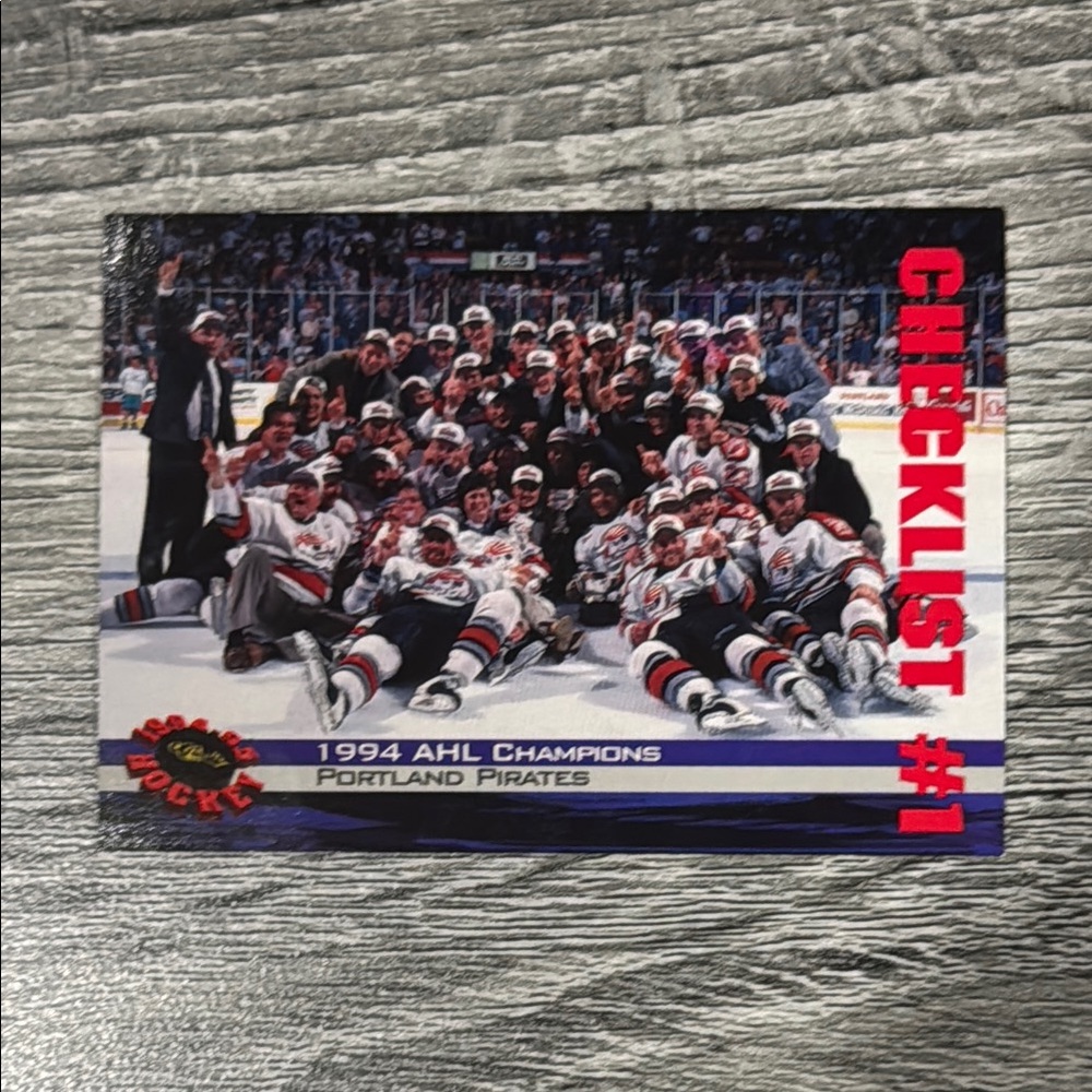 Classic #23: 1994 AHL Champions Portland Pirates Team Photo - Hockey Card